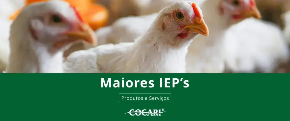 Cooperados da Cocari com os Maiores Índices de Eficiência em Dezembro de 2025